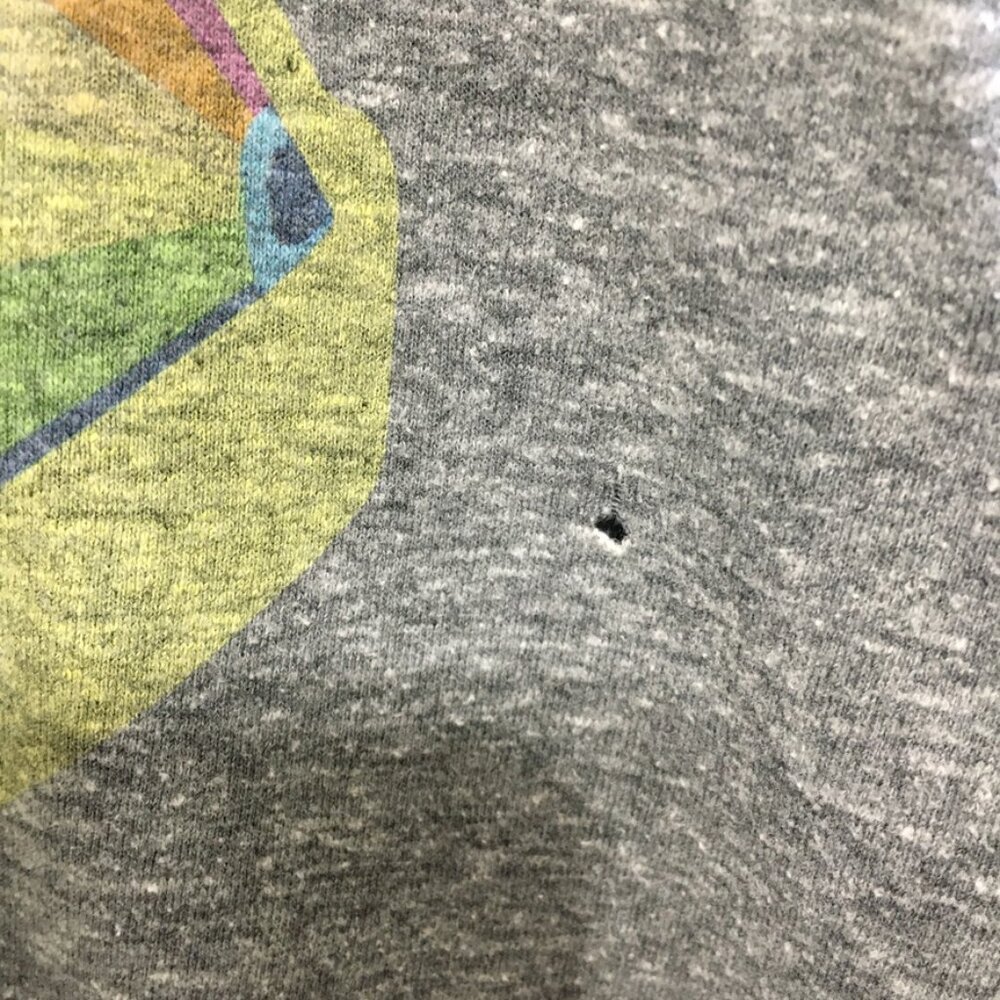 ALTRU Polaroid Graphic T-Shirt Gray Womens Small Crew Neck - Picture 5 of 15